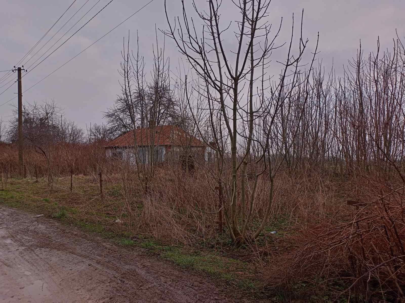 Земельні ділянки Сілець, 4622185600:04:002:0020 фото 3