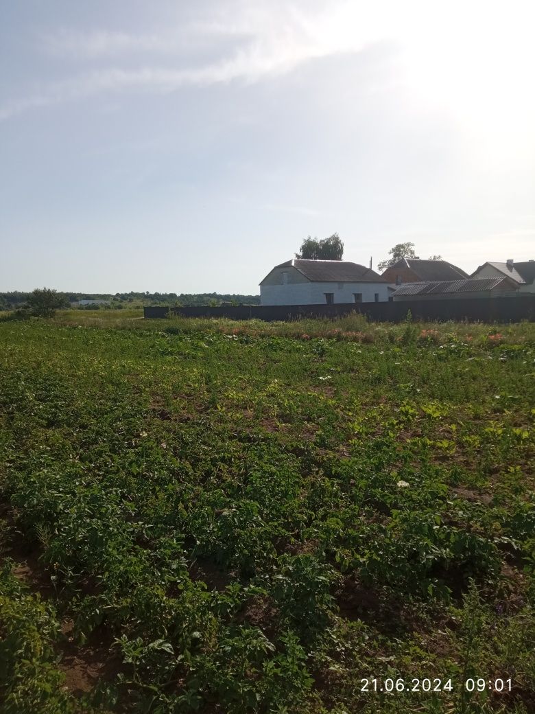 Земля під інд. будівництво Вороців, 4625882900:04:001:1101 фото 4