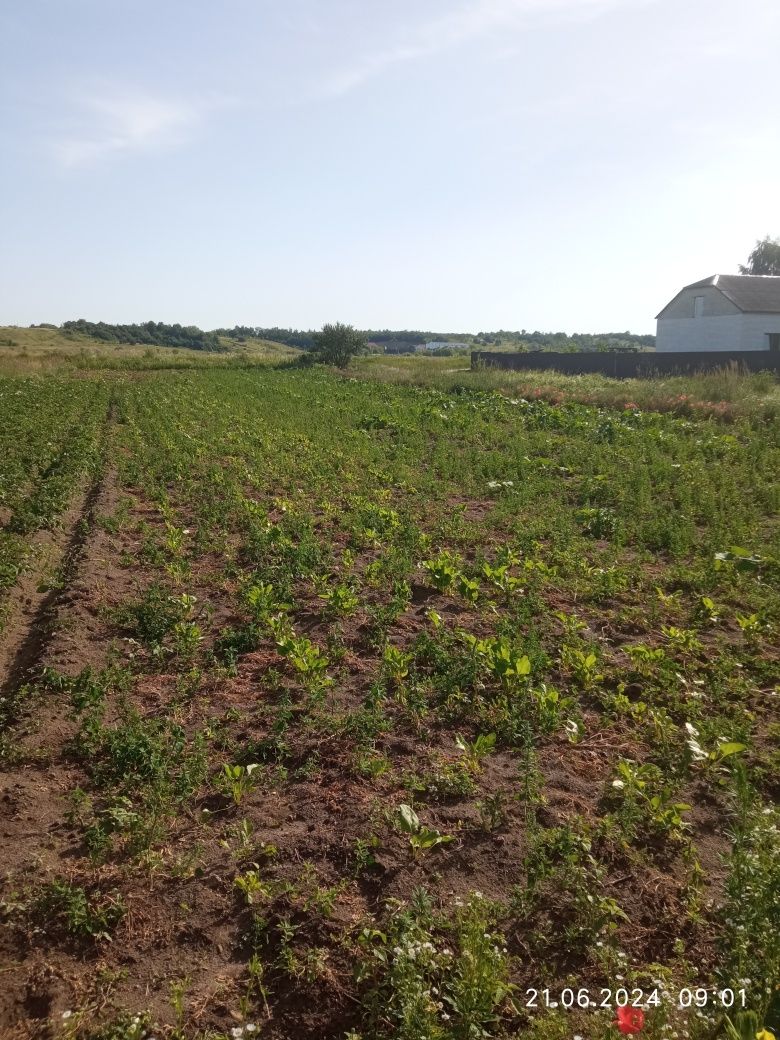 Земля під інд. будівництво Вороців, 4625882900:04:001:1101 фото 8