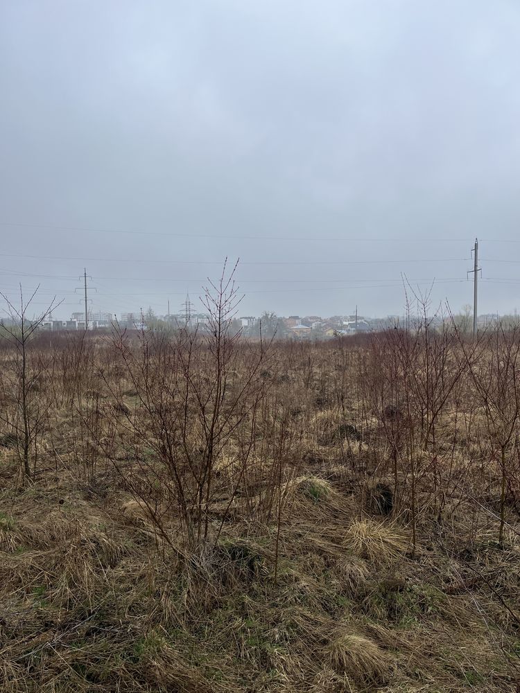 Земля сільгосппризначення Солонка, 4623686600:01:002:0947 фото 4