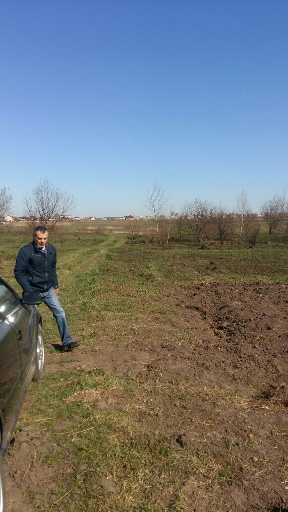 Земельні ділянки Зубра, 4623683300:01:003:0812 фото 7