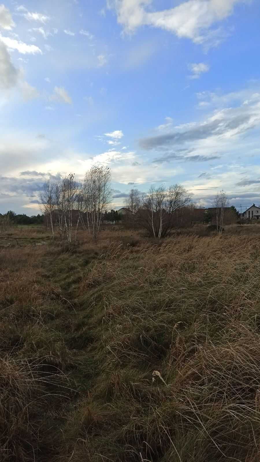 Земля під інд. будівництво Рясне-Руське, 4625887500:04:001:0995 фото 8