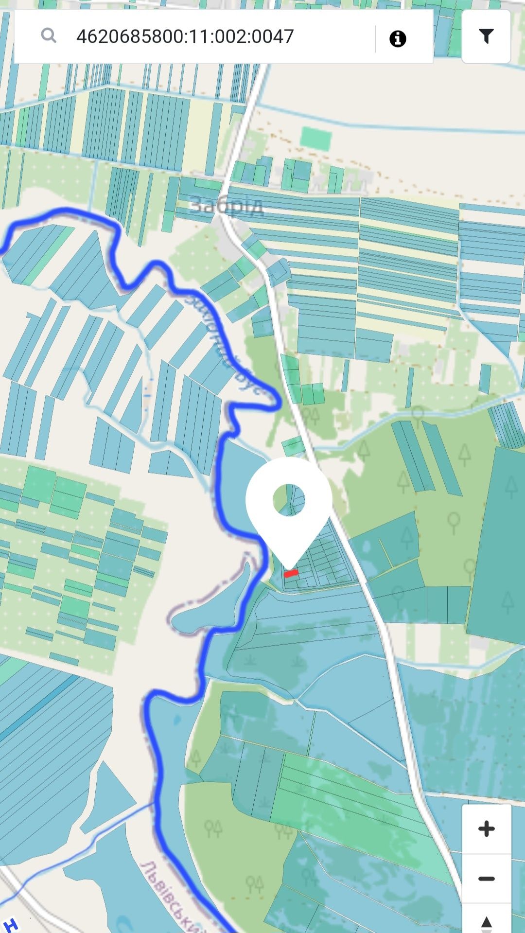Земля сільгосппризначення Ременів, 4620685800:11:002:0047 фото 2