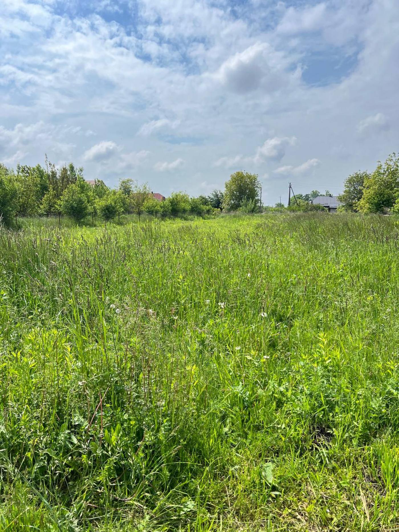 Земля під інд. будівництво Завидовичі, 4620983600:15:013:0013 фото 8