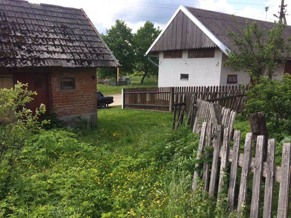 Земельні ділянки Бринці-Церковні, нема фото 2