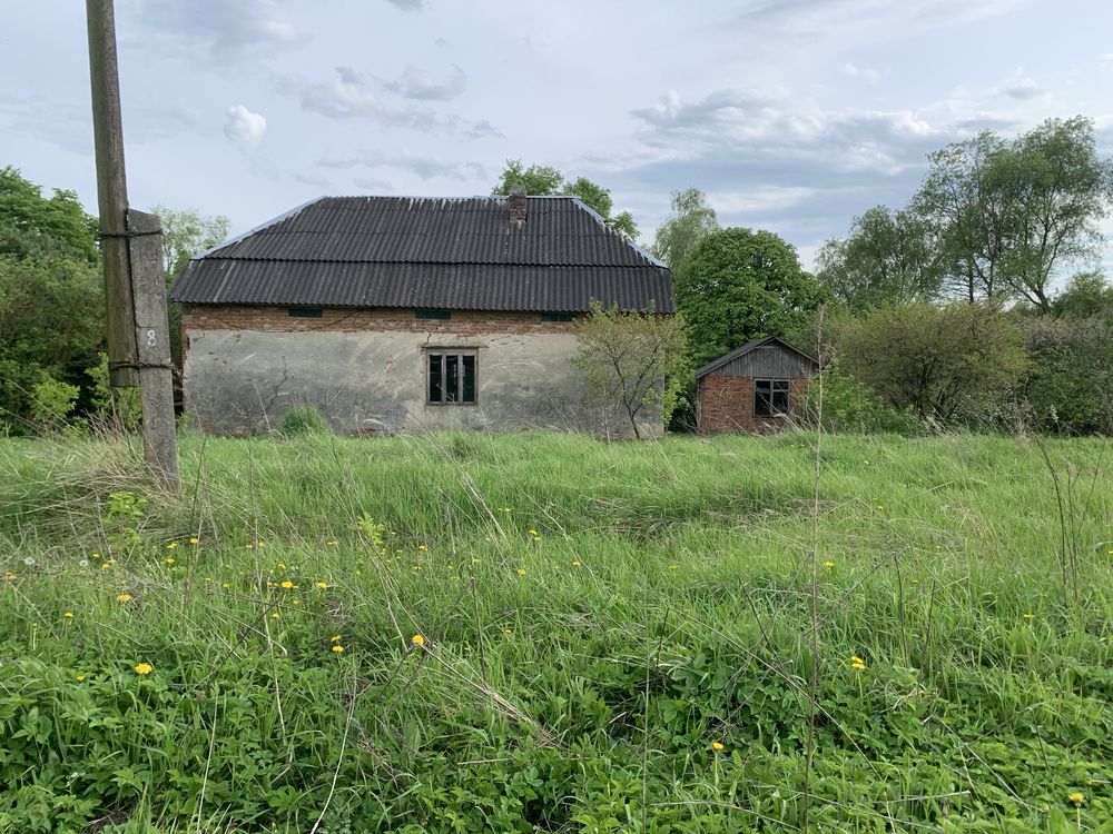 Будинок Вовків, Низинна фото 8