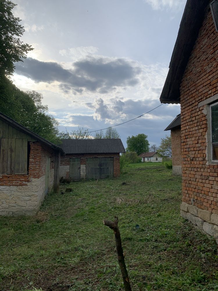 Будинок Вовків, Низинна фото 4