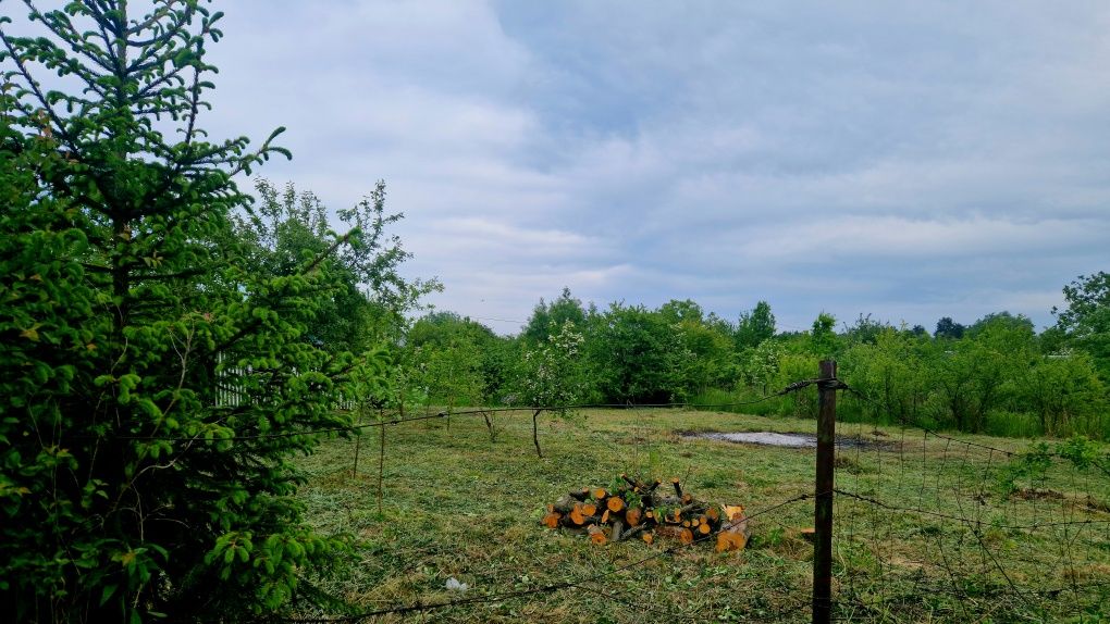 Земельні ділянки Шкло, 4625856500:01:000:0305 фото 2