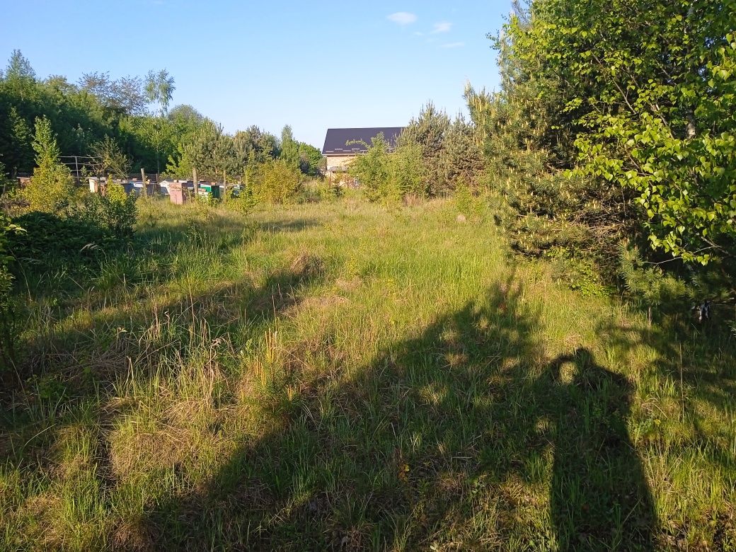 Земельні ділянки Солонське, 4621287200:01:001:0471 фото 2