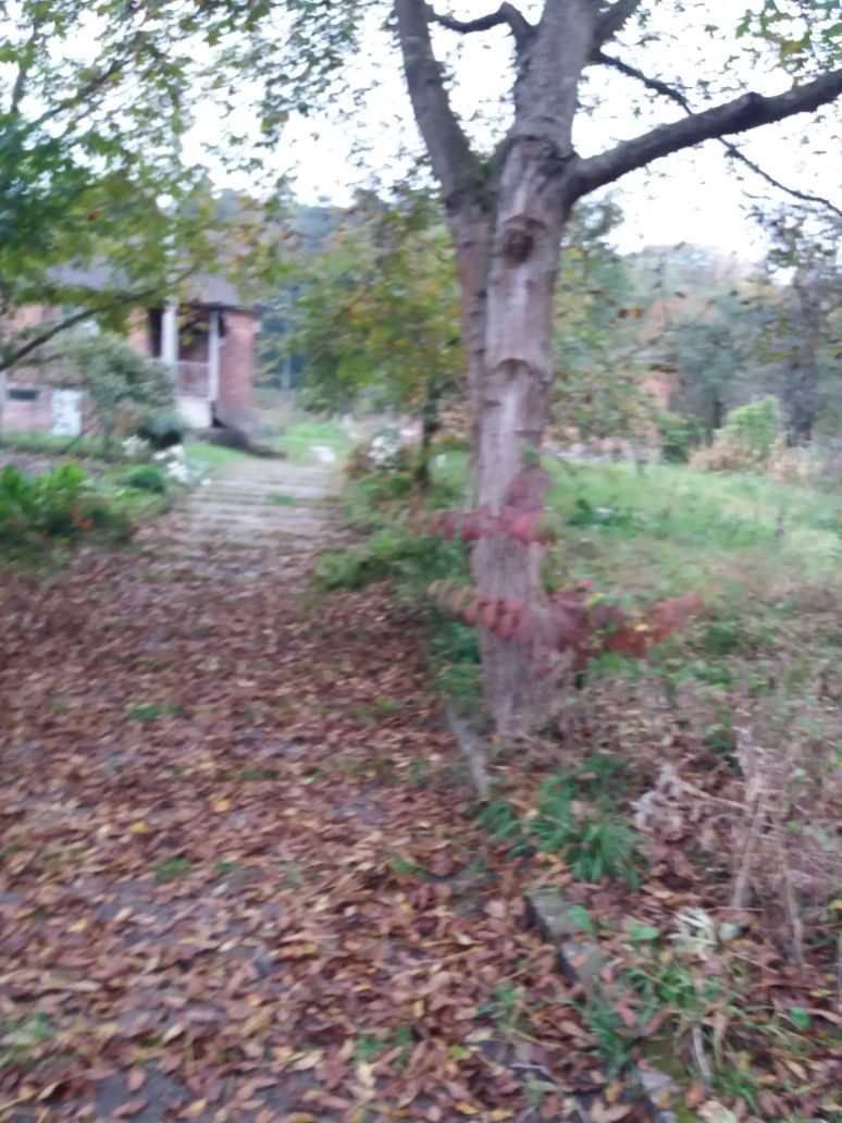 Житлова нерухомість Винники, Забава, 69 фото 3