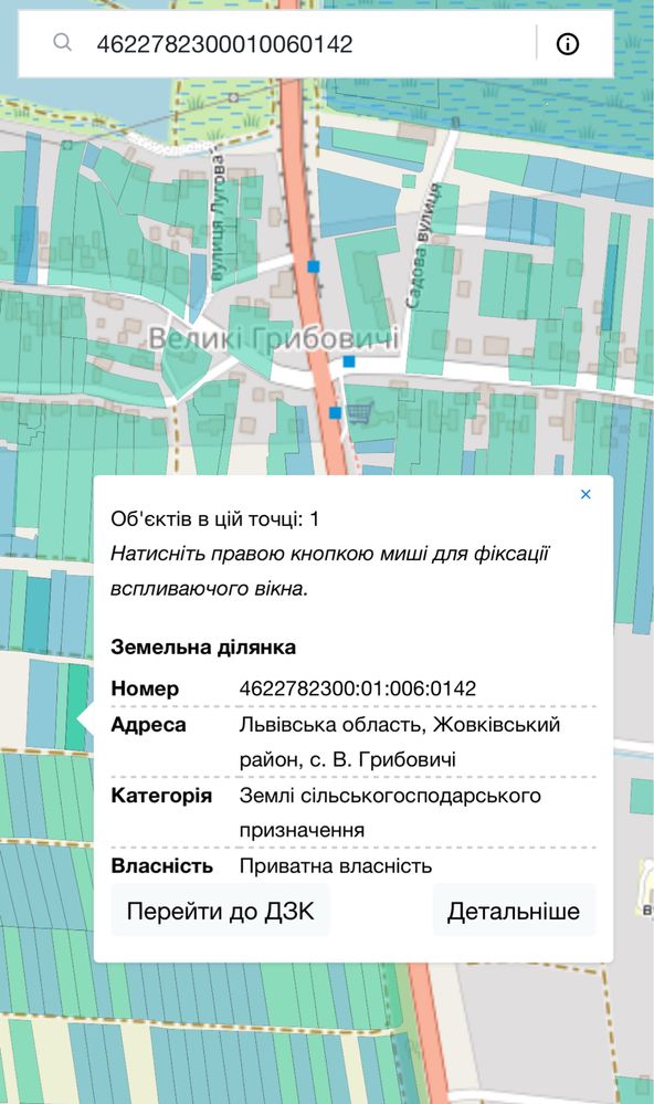 Земельні ділянки Великі Грибовичі, Вулиця Сагайдачного фото 3