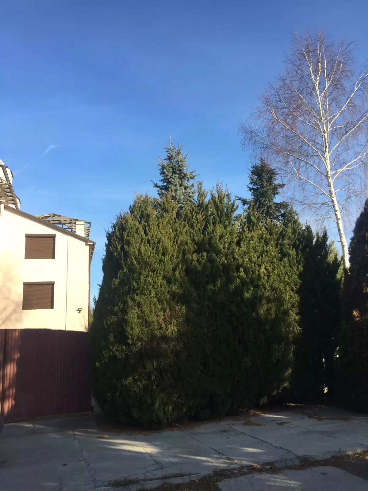 Житлова нерухомість Вислобоки, Незалежності, 17 фото 3
