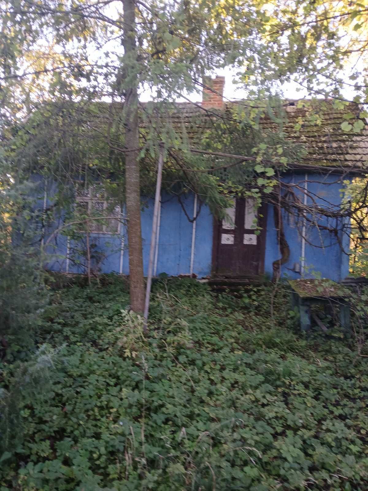 Продаж земельної ділянки, Баківці