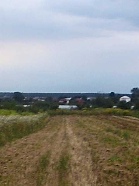 Земля під інд. будівництво Оброшине, 4623684900:01:003:0441 фото 2