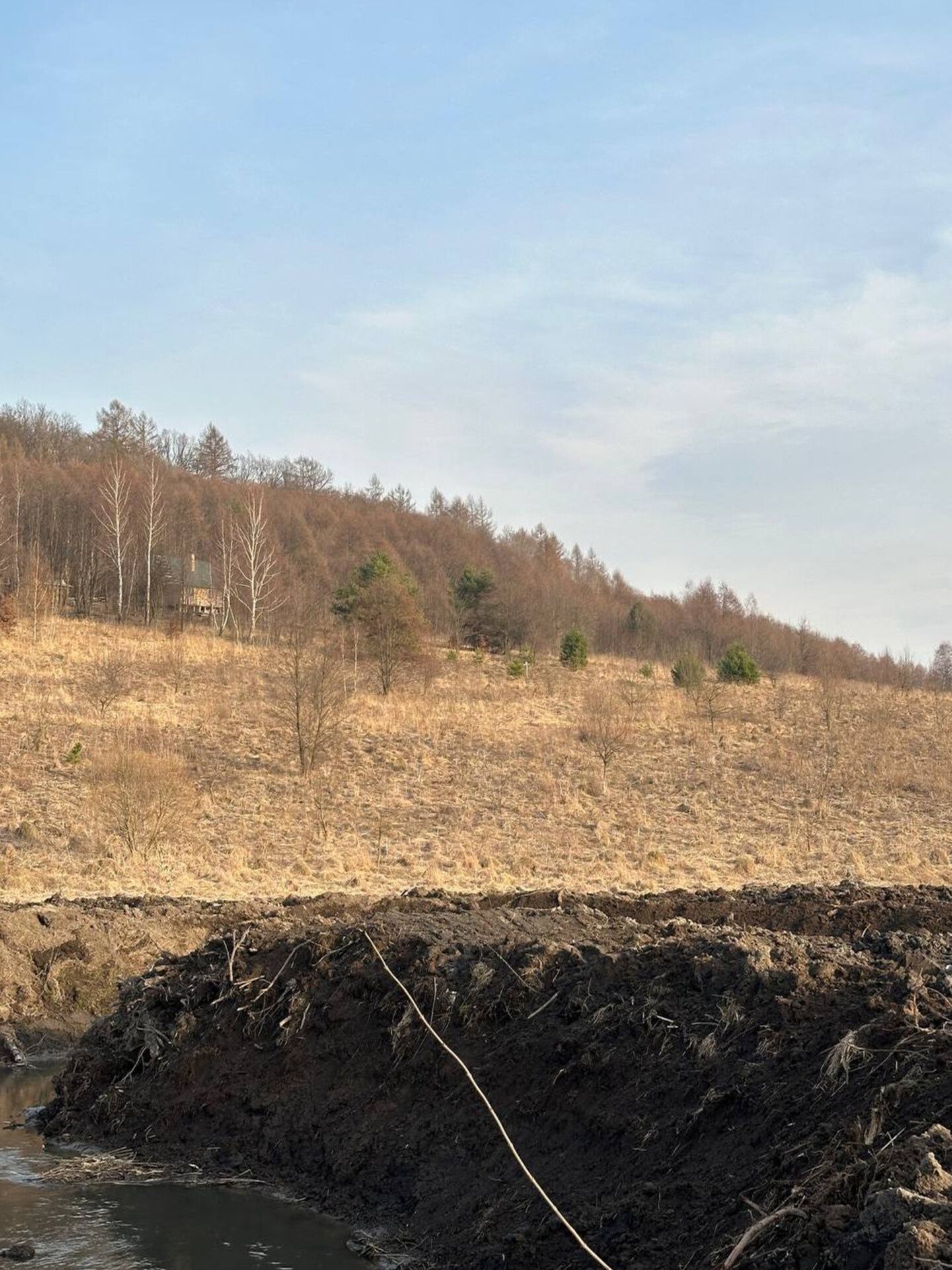 Земельні ділянки Кугаїв, Сагайдачногго фото 3
