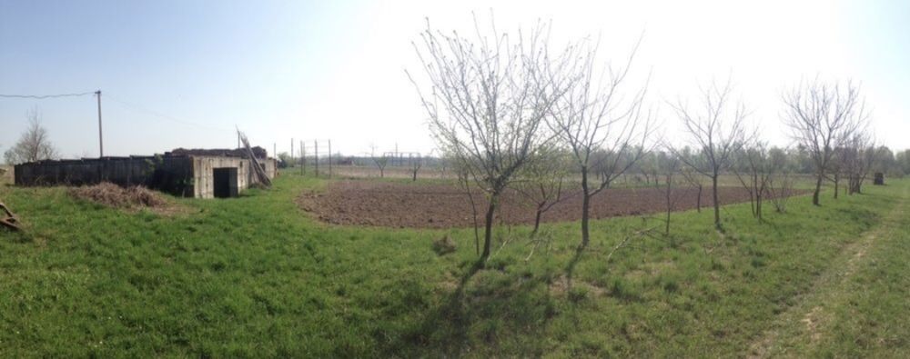 Продаж земельної ділянки, Задвір'я