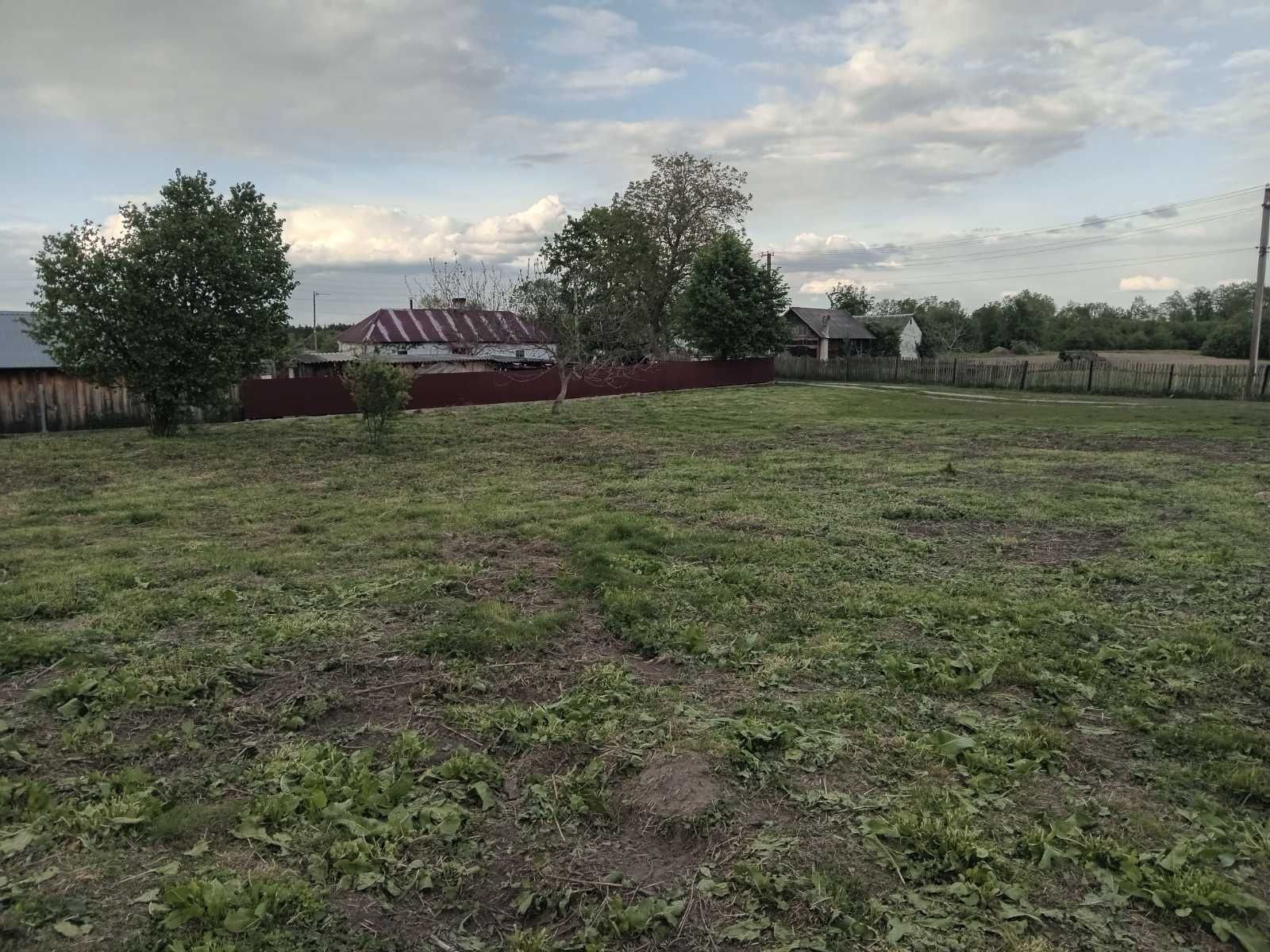 Земельні ділянки Блищиводи, 4622787200:03:003:0072 фото 3
