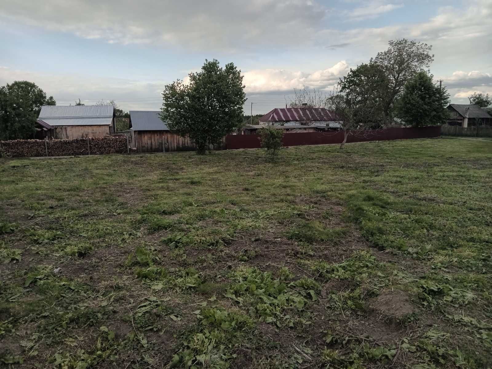 Земельні ділянки Блищиводи, 4622787200:03:003:0072 фото 5