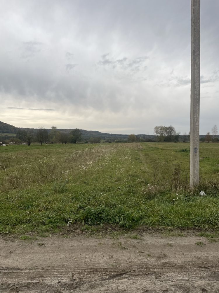 Земельні ділянки Крехів, 4622784400:01:002:0169 фото 7