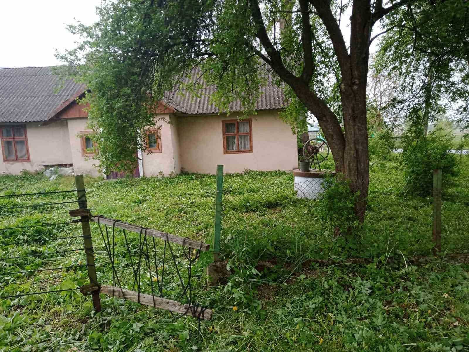 Земельні ділянки Миколаїв, 4623682600:01:002:0432 фото 3