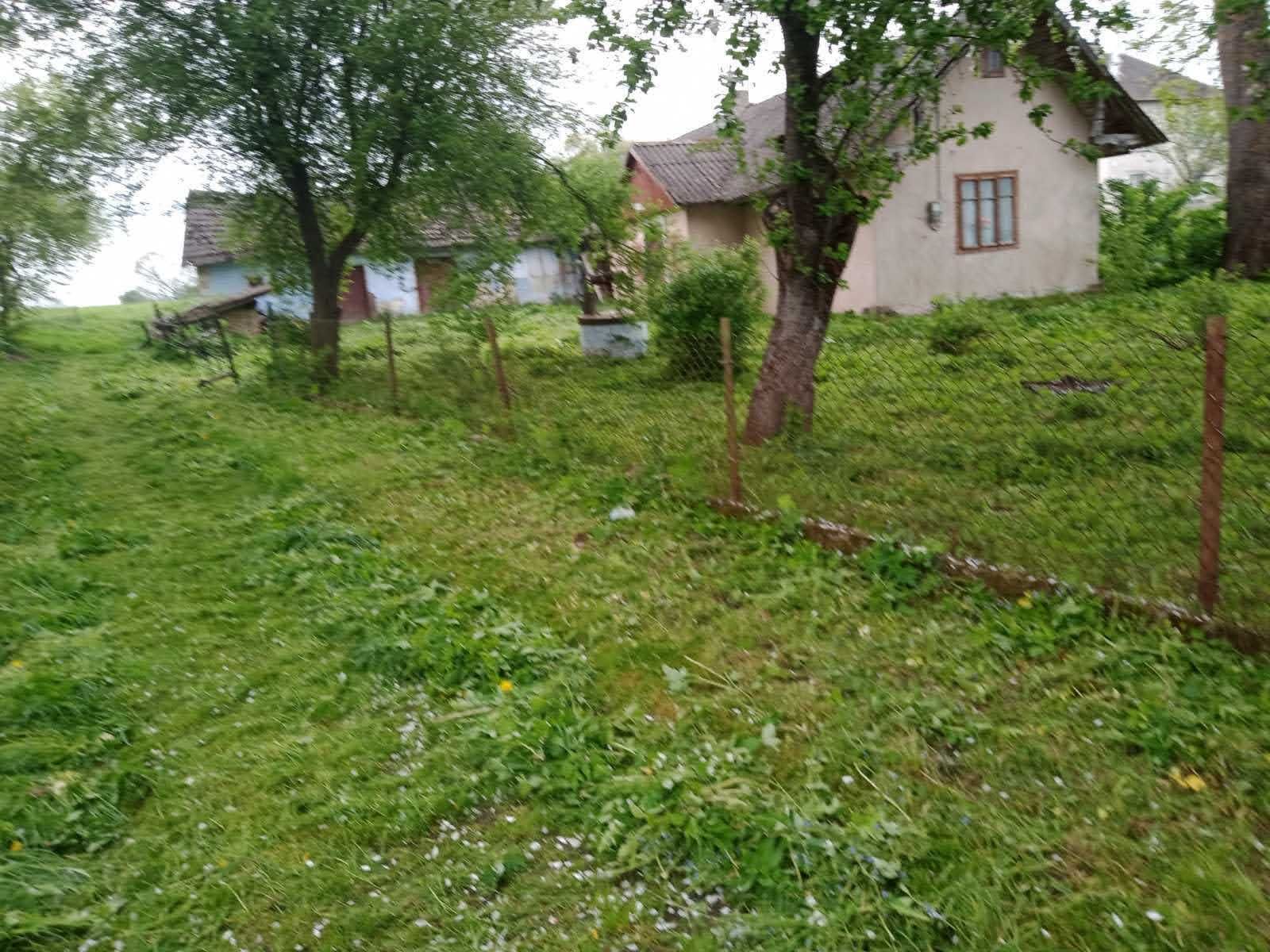 Продаж земельної ділянки, Миколаїв