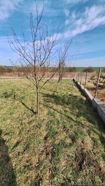 Житлова нерухомість Зашків, Степана Бандери, 13 фото 9