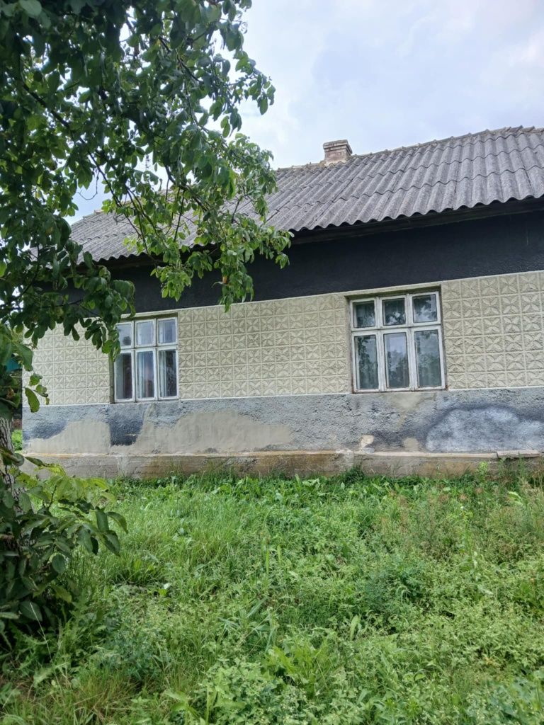 Житлова нерухомість Катериничі, Озерна фото 2