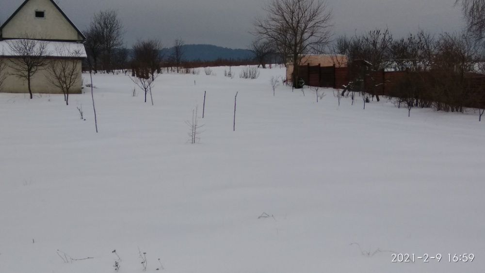 Земельні ділянки Коцурів, 4623683100:05:002:0216 фото 5
