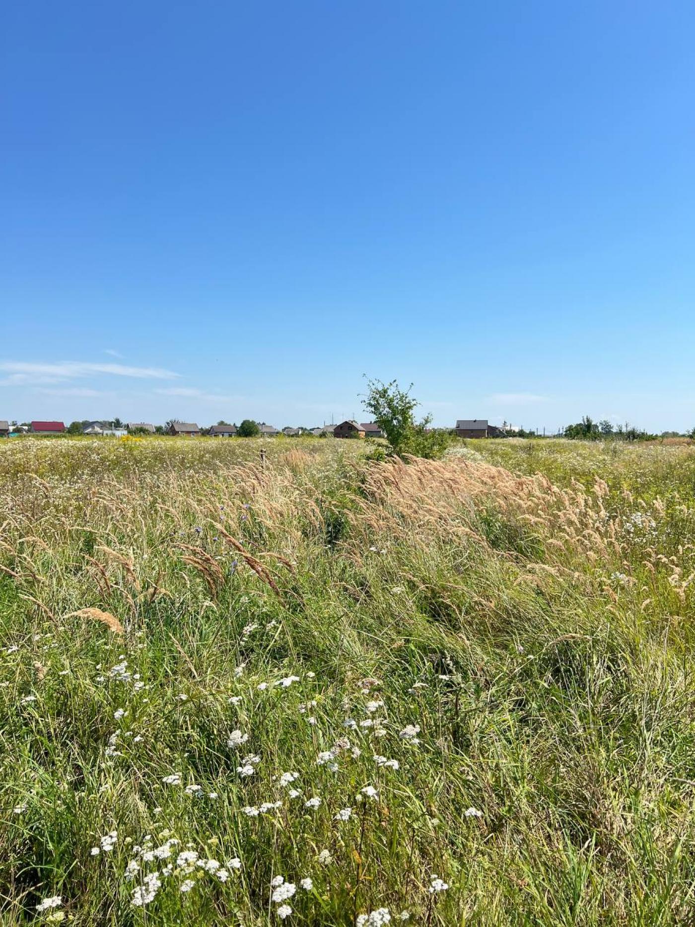 Продаж земельної ділянки, Красне