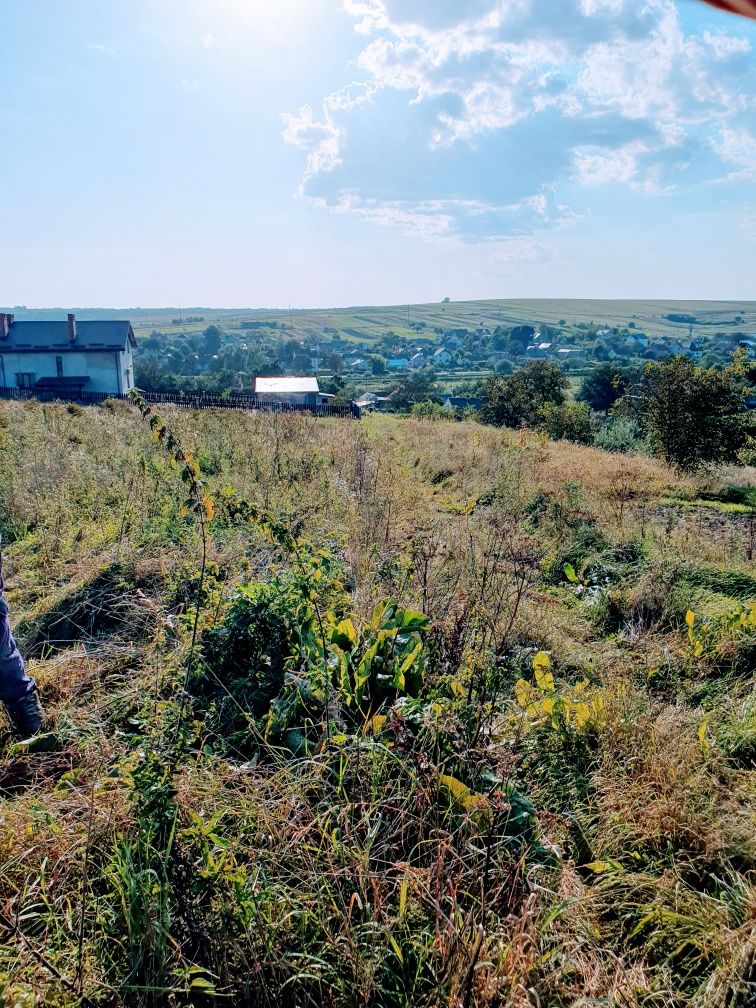 Земельні ділянки Старе Село, 4623687100:01:002:3000 фото 5
