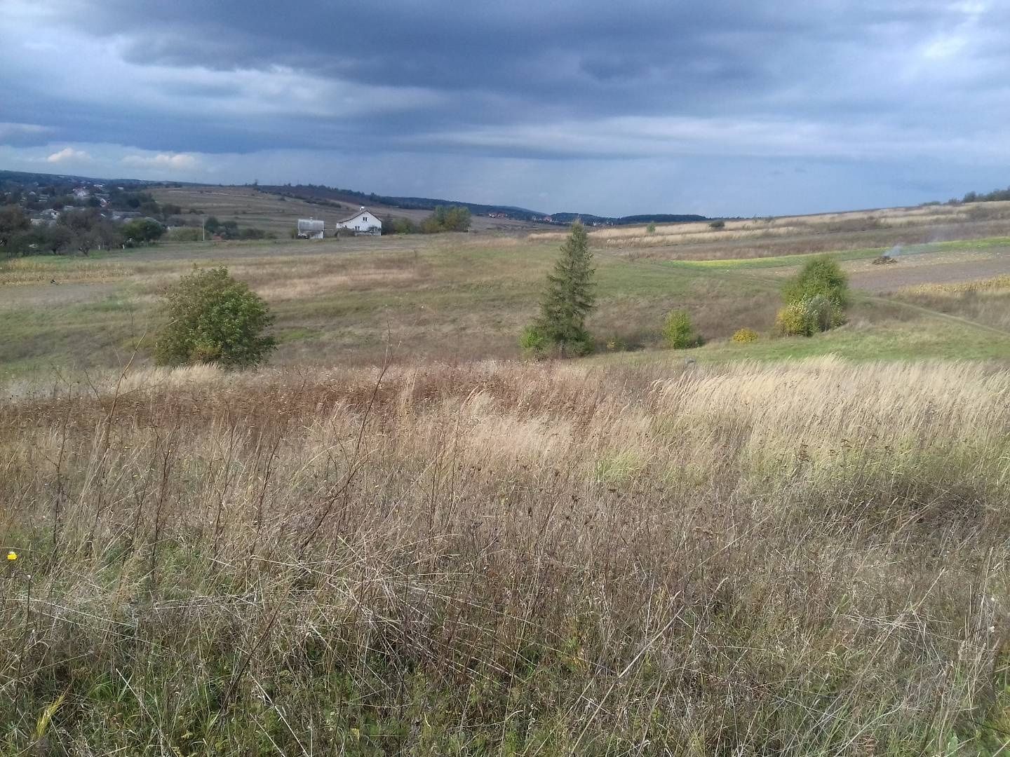 Земельні ділянки Старе Село, 4623687100:01:002:3000 фото 14