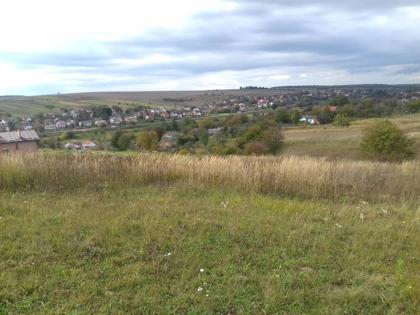 Земельні ділянки Старе Село, 4623687100:01:002:3000 фото 12