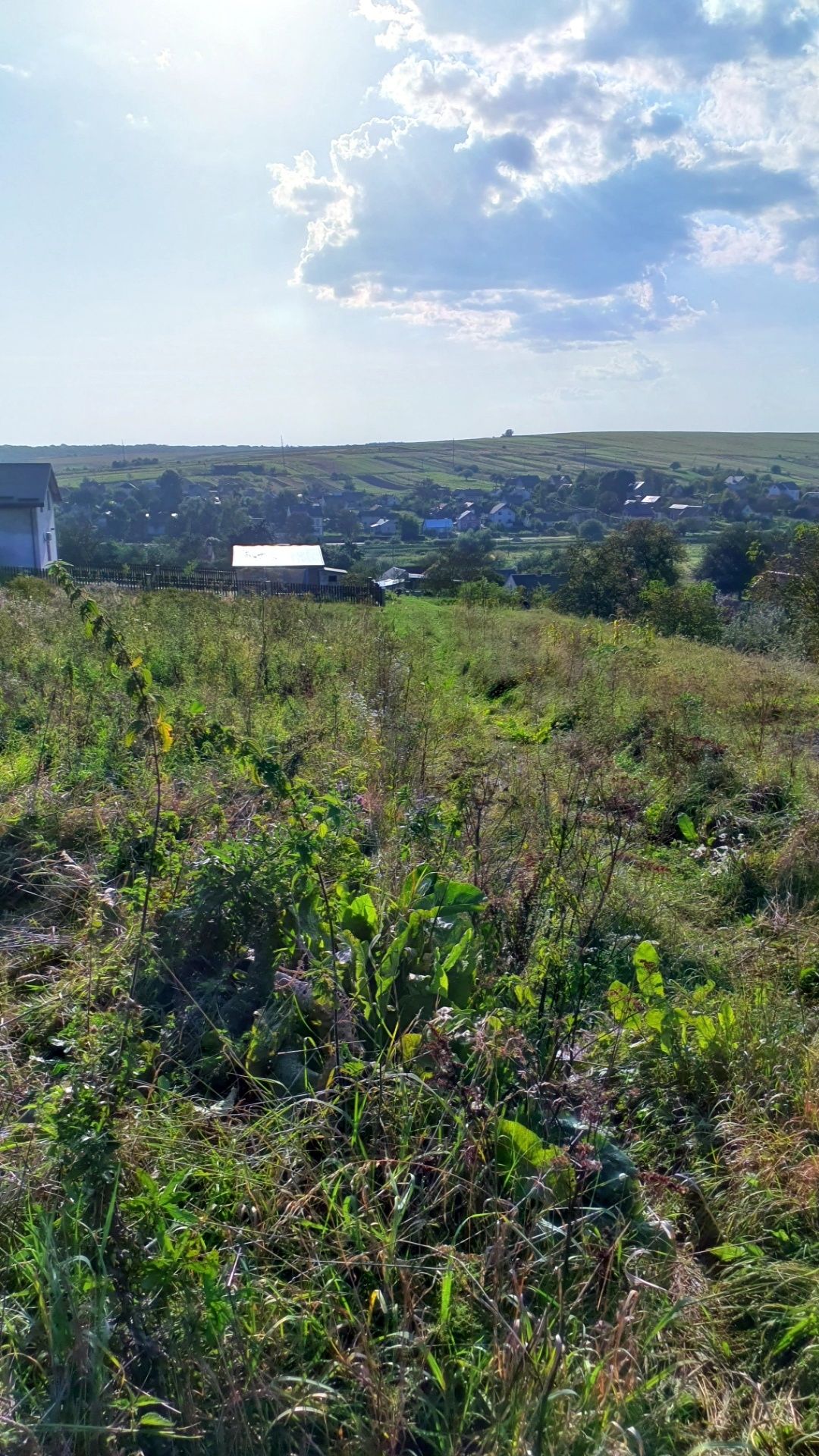 Земельні ділянки Старе Село, 4623687100:01:002:3000 фото 2