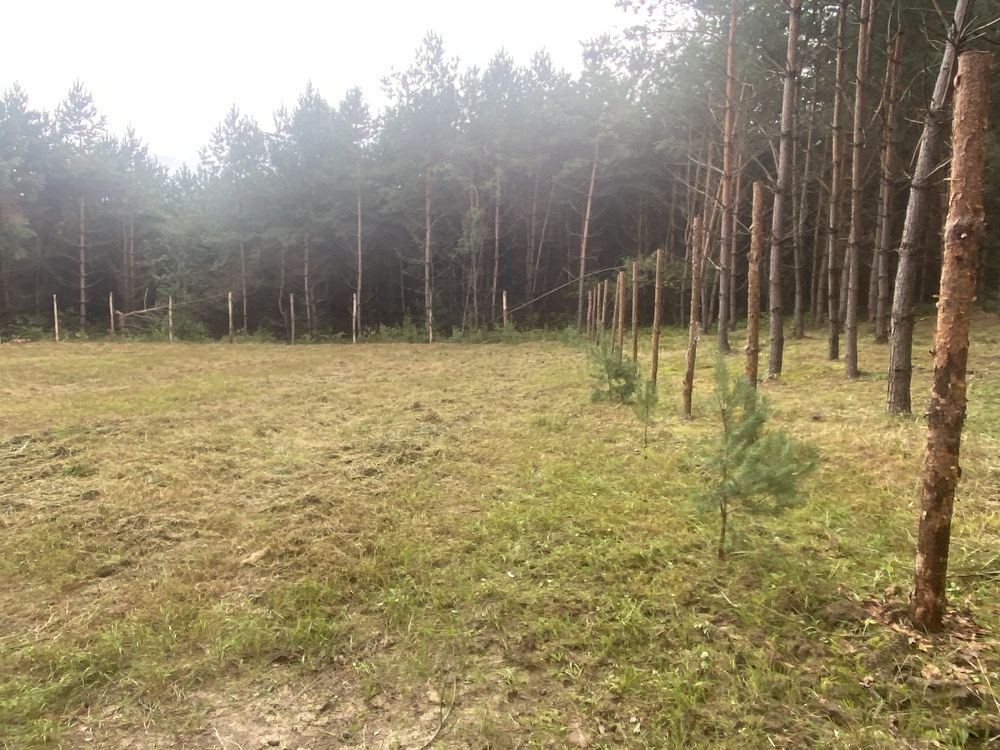 Земельні ділянки Івано-Франкове, 4625855300:06:001:0274 фото 10