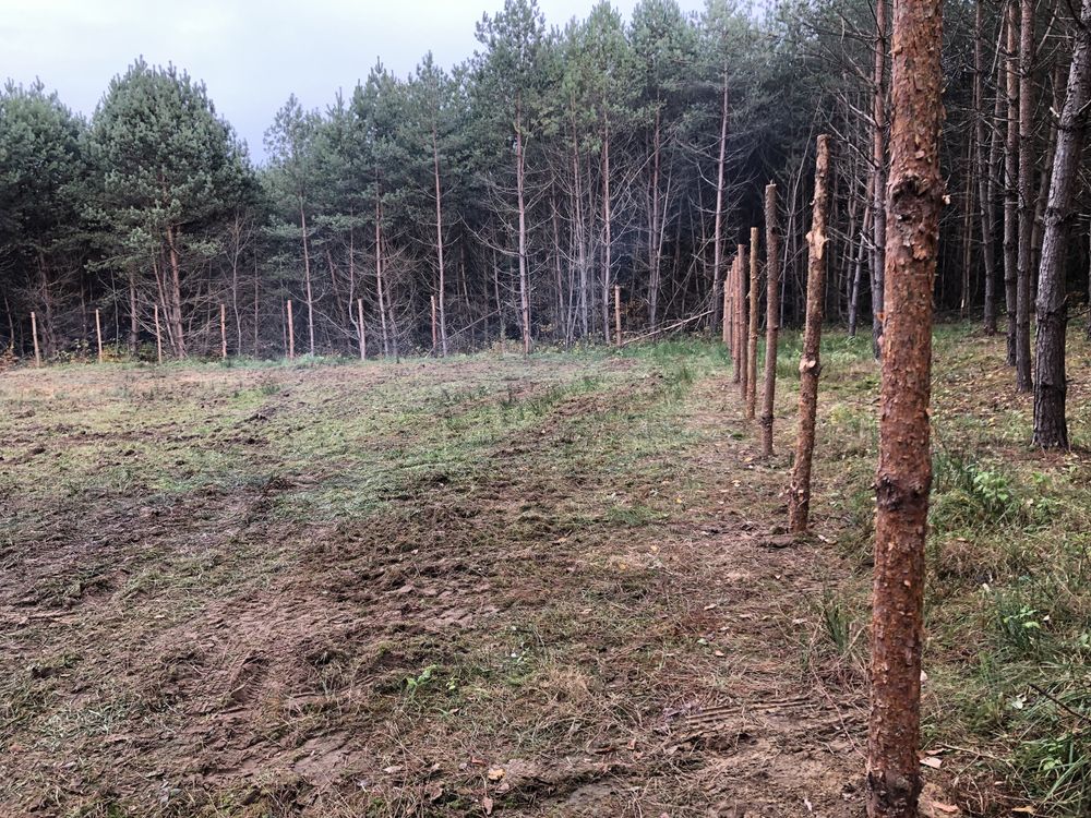 Земельні ділянки Івано-Франкове, 4625855300:06:001:0274 фото 4