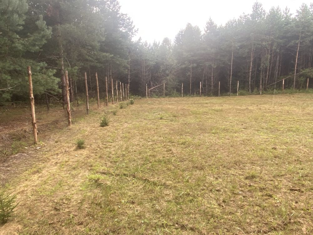 Земельні ділянки Івано-Франкове, 4625855300:06:001:0274 фото 11