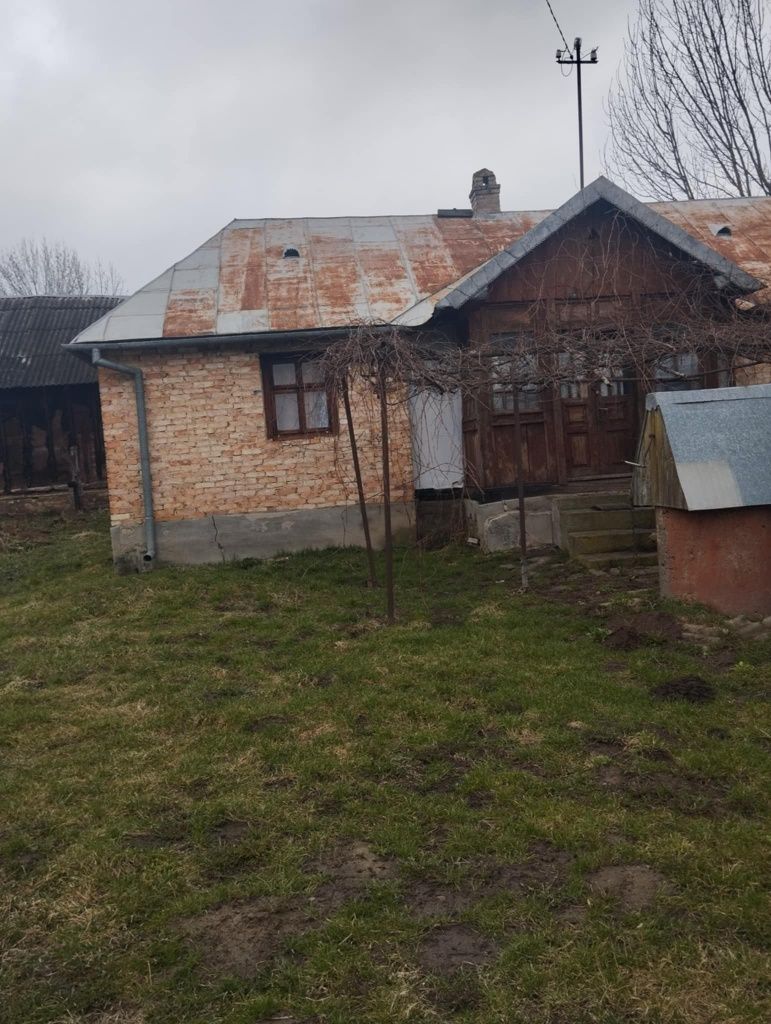 Житлова нерухомість Ракобовти, Низинна, 8 фото 3