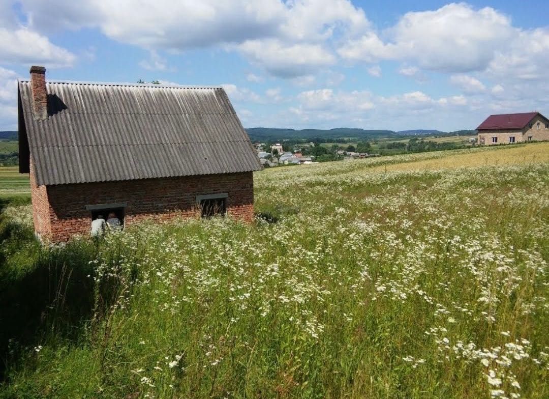 Продаж земельної ділянки, Коросно