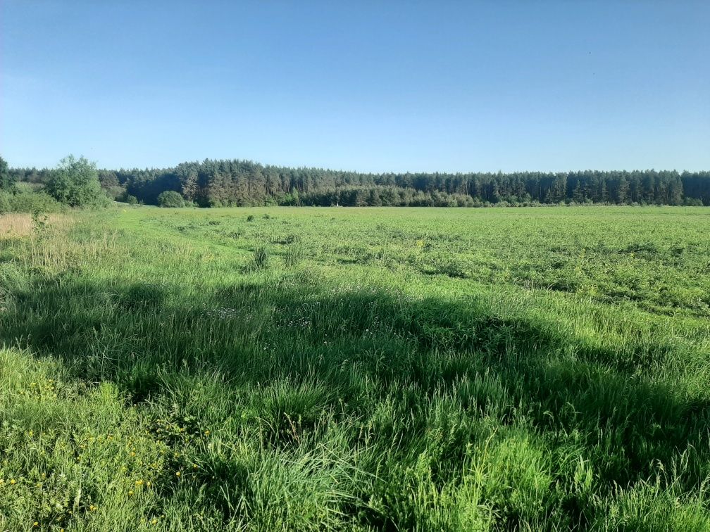 Земельні ділянки Вороців, 4625882900:04:001:0586 фото 5