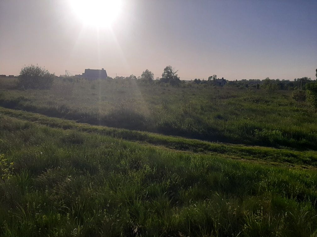 Земельні ділянки Вороців, 4625882900:04:001:0586 фото 6