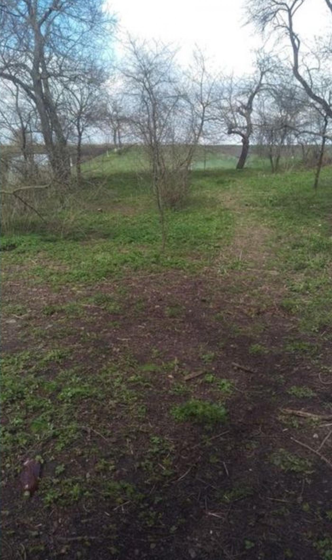 Продаж земельної ділянки, Велика Горожанна