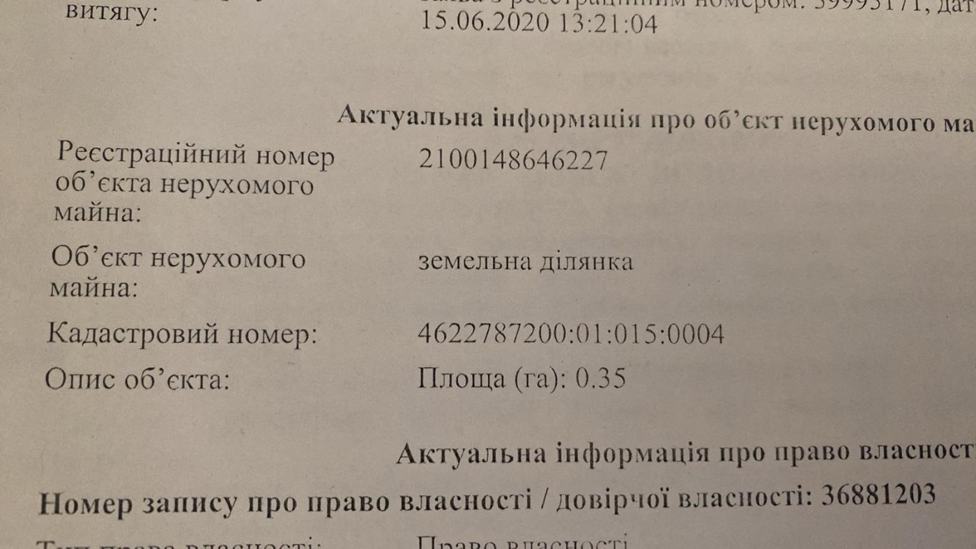 Земельні ділянки Зіболки, 4622787200:01:015:0004 фото 6