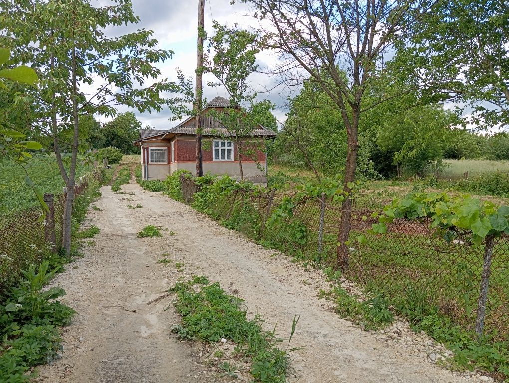 Житлова нерухомість Новий Розділ, вул Миру фото 12