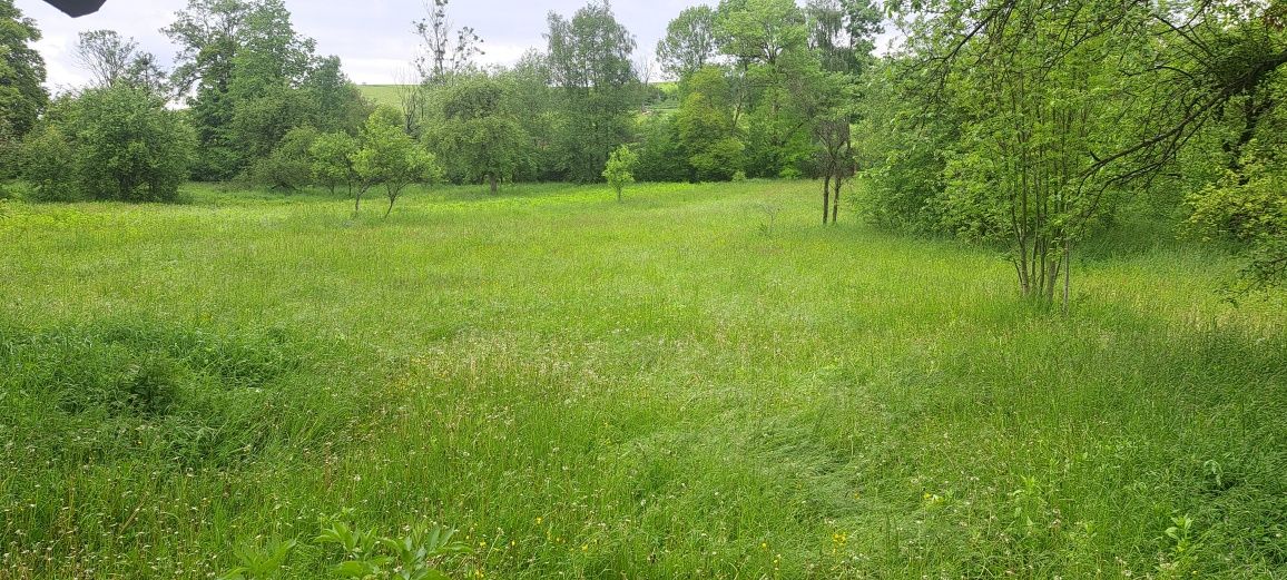 Житлова нерухомість Дмитровичі, Садова, 14 фото 8