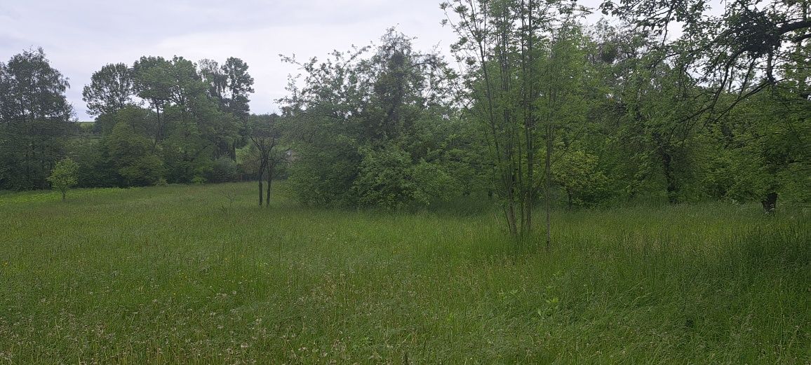 Житлова нерухомість Дмитровичі, Садова, 14 фото 6