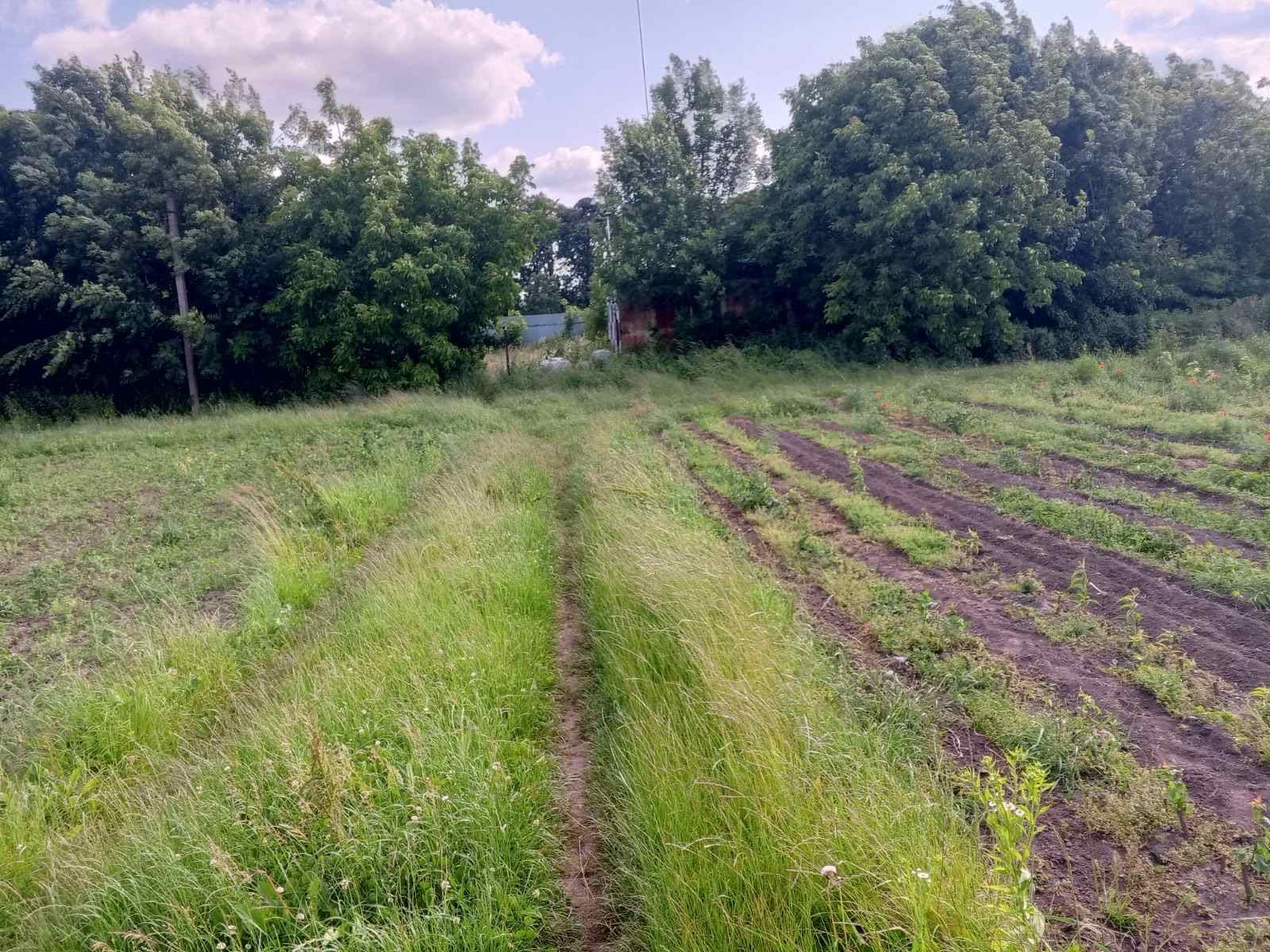 Земельні ділянки Великосілки, 4622181600:08:000:0506 фото 5