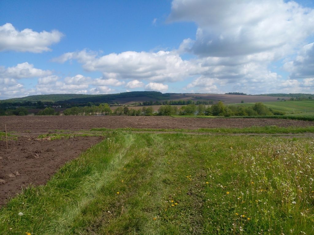 Житлова нерухомість Коросно, Підлісна, 20 фото 18
