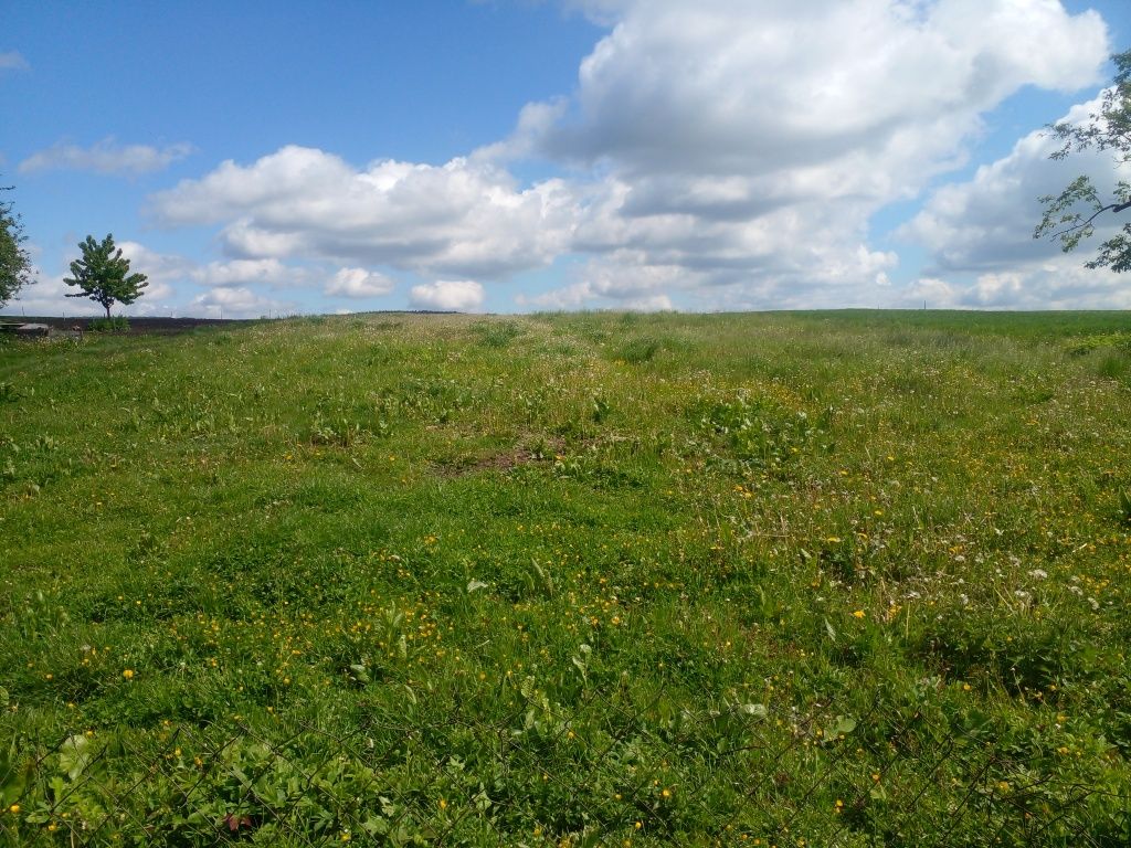 Житлова нерухомість Коросно, Підлісна, 20 фото 16