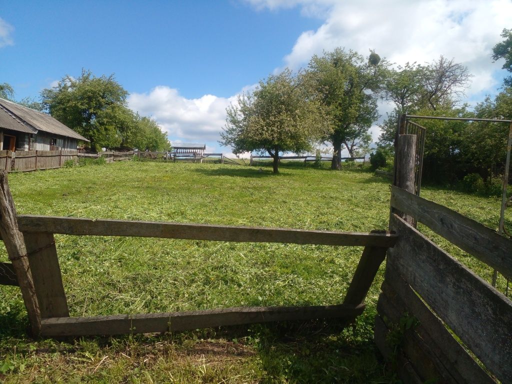 Житлова нерухомість Коросно, Підлісна, 20 фото 13