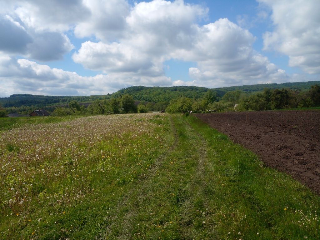 Житлова нерухомість Коросно, Підлісна, 20 фото 19